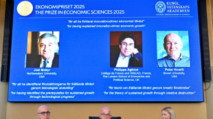 Un ganador del Nobel de Econom&iacute;a advierte sobre los riesgos de la IA