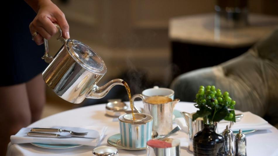 Europäischer Gerichtshof: Kein Bio-Logo für medizinischen Salbeitee