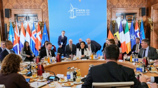 Nordsee-Staaten wollen Offshore-Windenergie gemeinsam ausbauen