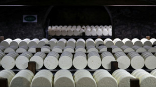 El precio mundial de los alimentos aument&oacute; en febrero por primera vez en cinco meses