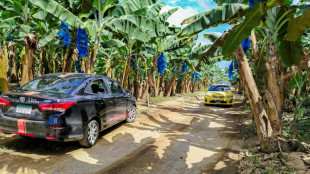 Nach Streik entlässt Tochter von Bananenkonzern Chiquita gesamte Belegschaft in Panama