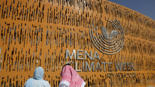 Klimakrise: COP28-Pr&auml;sident weist sofortige Energiewende als "Fantasien" zur&uuml;ck