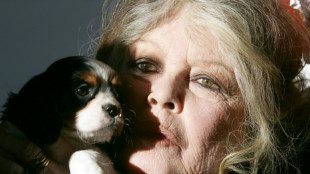 Brigitte Bardot widower slams sale of star's belongings