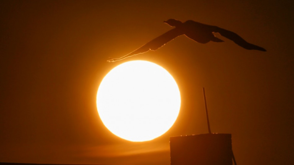 Stiftung Warentest empfiehlt zwei Balkonkraftwerke - und fünf nicht