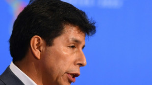 Econom&iacute;a peruana se resiente por inestabilidad pol&iacute;tica y shocks externos