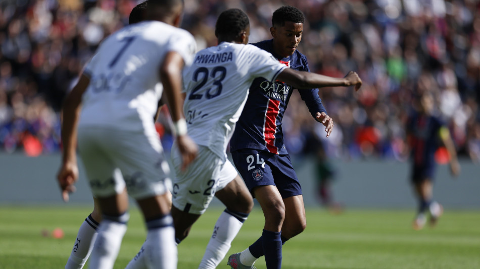 Calcio: incidenti su spalti, Le Havre-Marsiglia sospesa mezz'ora