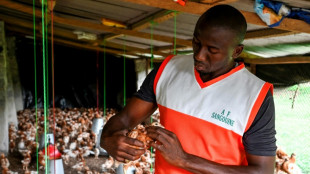 Loin d'Abidjan, des jeunes choisissent d'entreprendre dans l'ouest rural de la C&ocirc;te d'Ivoire