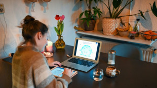 Ifo: Deutsche sind mehr im Homeoffice als Beschäftigte in anderen Ländern 