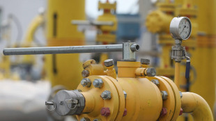 Il gas conclude in lieve rialzo (+0,9%) a 34 euro al Megawattora