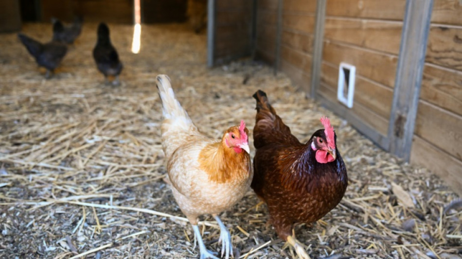 Verwaltungsaufwand: EU-Kommission schlägt weitere Zugeständnisse an Bauern vor