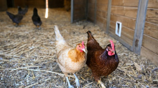 Verwaltungsaufwand: EU-Kommission schlägt weitere Zugeständnisse an Bauern vor