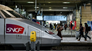 Votre chat est sous un TGV? La SNCF lui donne d&eacute;sormais 20 minutes