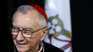 Parolin, riconoscimento Palestina? Noi l'abbiamo fatto