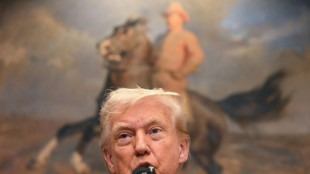 Trump pede ren&uacute;ncia de CEO da fabricante de chips Intel