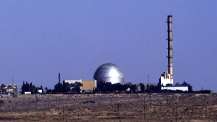 Ap, 'Israele costruisce edificio nel centro nucleare di Dimona'