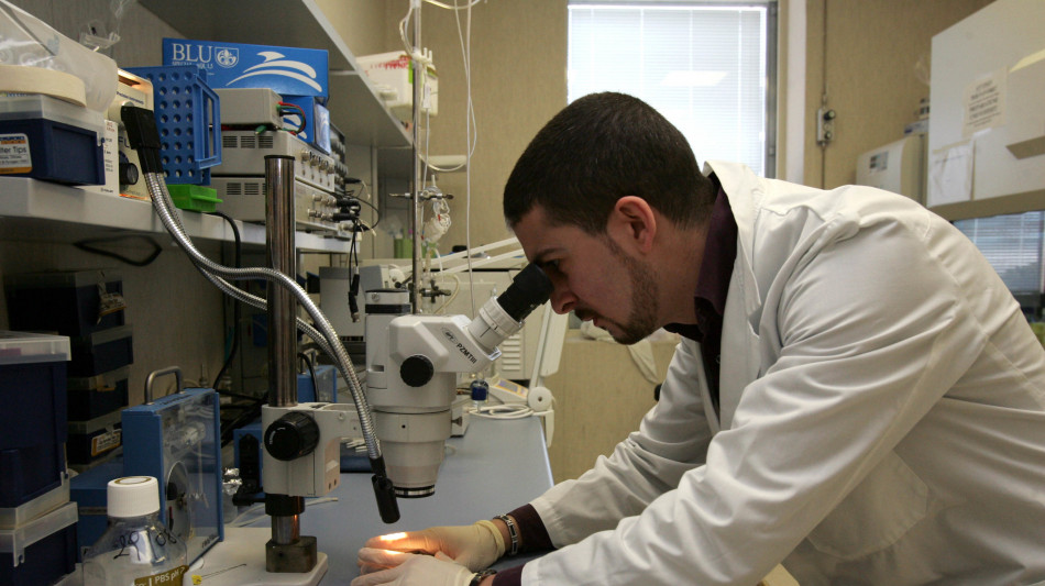 Una terapia a base di mRna ha ripristina la fertilit&agrave; nei topi