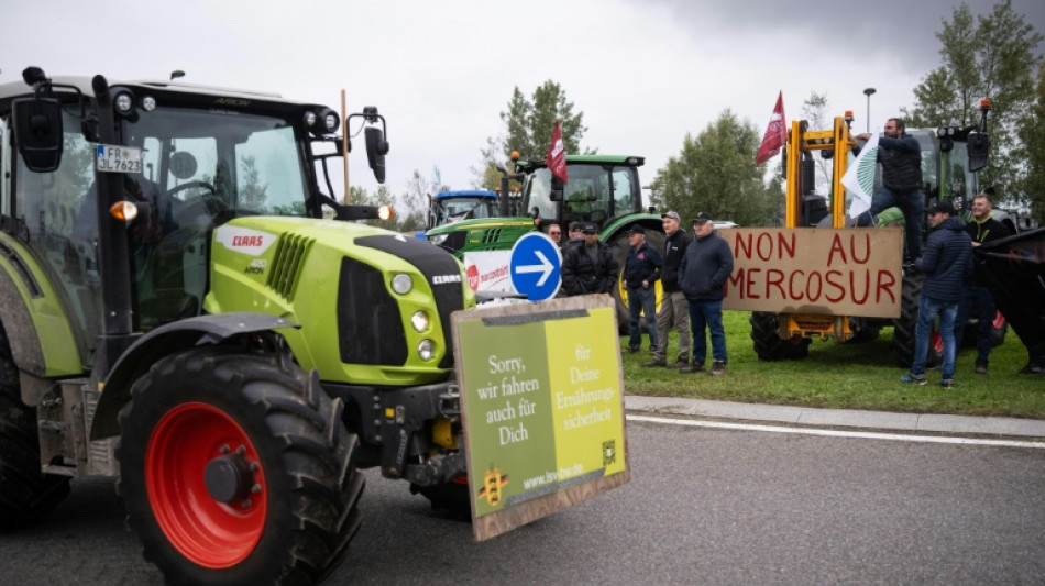 La UE detalla c&oacute;mo proteger&aacute; a los agricultores europeos en el tratado con Mercosur