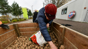 Mehr für Milch, weniger für Kartoffeln: Erzeugerpreise für Landwirte leicht gestiegen