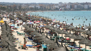 Umfrage: Mehrheit der Deutschen würde KI bei Urlaubsplanung vertrauen