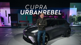 Las ventas de autom&oacute;viles en la UE caen un 11,2% en mayo