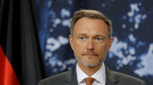 Lindner f&uuml;r "weniger samtpf&ouml;tiges Auftreten" im Verh&auml;ltnis zu China