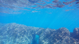 In Italia le pi&ugrave; antiche imbarcazioni del Mediterraneo