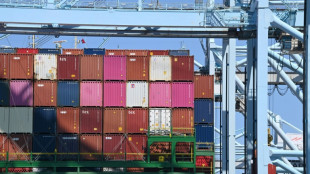 US trade gap shrinks on imports retreat as tariffs fuel worries
