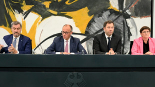 Schwarz-Rot will schnell Wirtschaft stärken - Merz: "Geht jetzt Schlag auf Schlag"