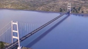 Ciucci, 'la nota dell'Ue sul Ponte è normale dialettica'