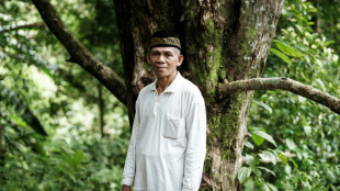 Indonésie: le clou de girofle aussi victime du changement climatique