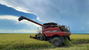 Vietn&atilde; na vanguarda do investimento privado estrangeiro no campo cubano
