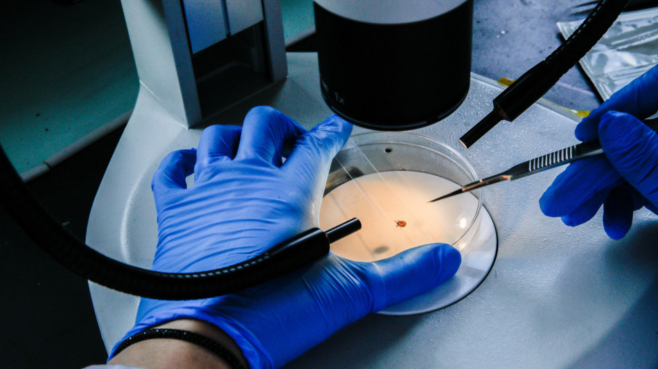 Scoperto un nuovo gene anti-et&agrave;, aiuta a invecchiare in salute