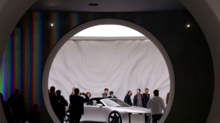 Erleichterung nach rückwirkender Senkung von US-Zöllen auf Autos aus der EU