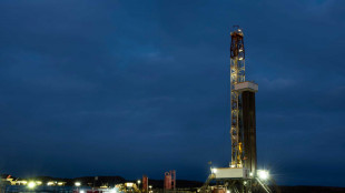 Argentina Ypf acquisisce concessioni di Total a Vaca Muerta