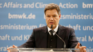 Habeck stellt Frühjahrsprojektion der Bundesregierung vor 