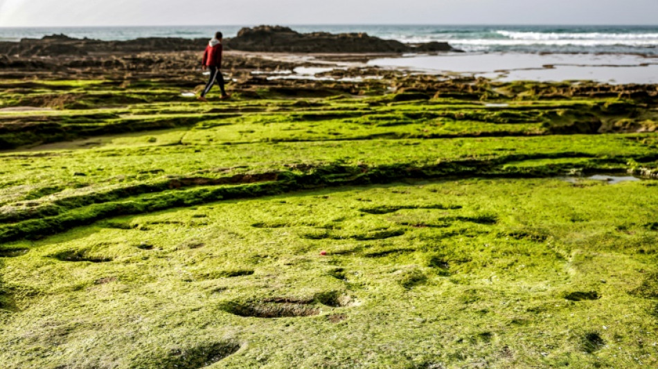 Découverte au Maroc d'empreintes humaines datant de plus de 100.000 ans