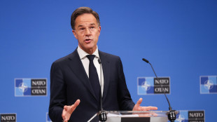 Rutte, 'con ritiro Usa schierare forze Nato in modo ottimale'