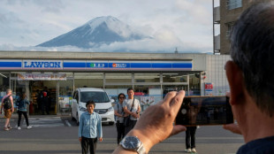 Cansada de turistas, cidade do Jap&atilde;o quer bloquear vista para o Monte Fuji