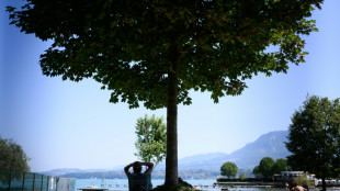 Ola de calor enciende las alarmas en el sur de Francia