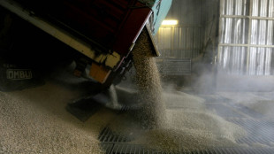 EEUU, Brasil, Argentina, M&eacute;xico y Canad&aacute; acuerdan producir m&aacute;s alimentos y fertilizantes