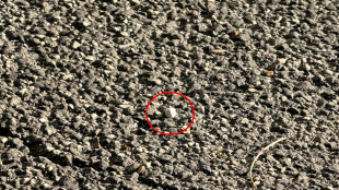 Ferita a Roma, 'tristezza per fermato cos&igrave; giovane e imbevuto d'odio'