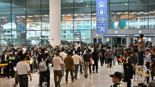 Surcoreanos detenidos en una redada migratoria en EEUU, recibidos con aplausos en su pa&iacute;s