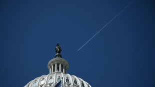 US-Repräsentantenhaus billigt Haushaltsgesetz mit massiven Steuersenkungen