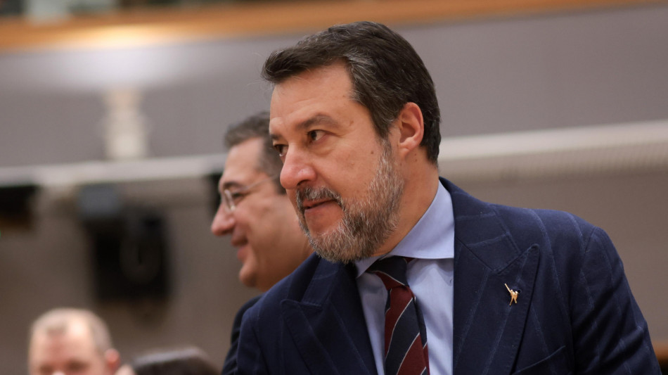 Salvini, stretta Lega? La cittadinanza è una cosa seria