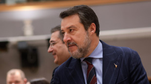 Salvini, stretta Lega? La cittadinanza è una cosa seria