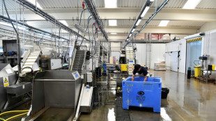 La producci&oacute;n industrial en Espa&ntilde;a repunt&oacute; ligeramente en agosto
