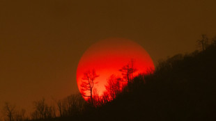 UNO: 2023 h&ouml;chstwahrscheinlich hei&szlig;estes Jahr seit Beginn der Aufzeichnungen