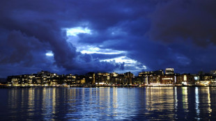 Norwegischer Staatsfonds mit ordentlicher Rendite - währungsbedingter Wertverlust