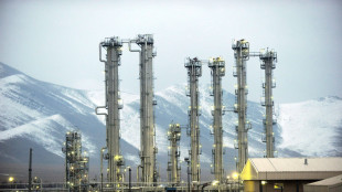 Usa,espulsione ispettori Aiea dall'Iran sarebbe escalation