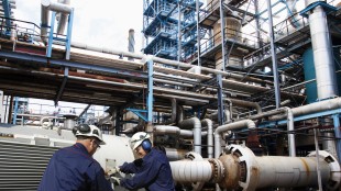 EUDR Solution From Source Intelligence Simplifies Deforestation Due Diligence